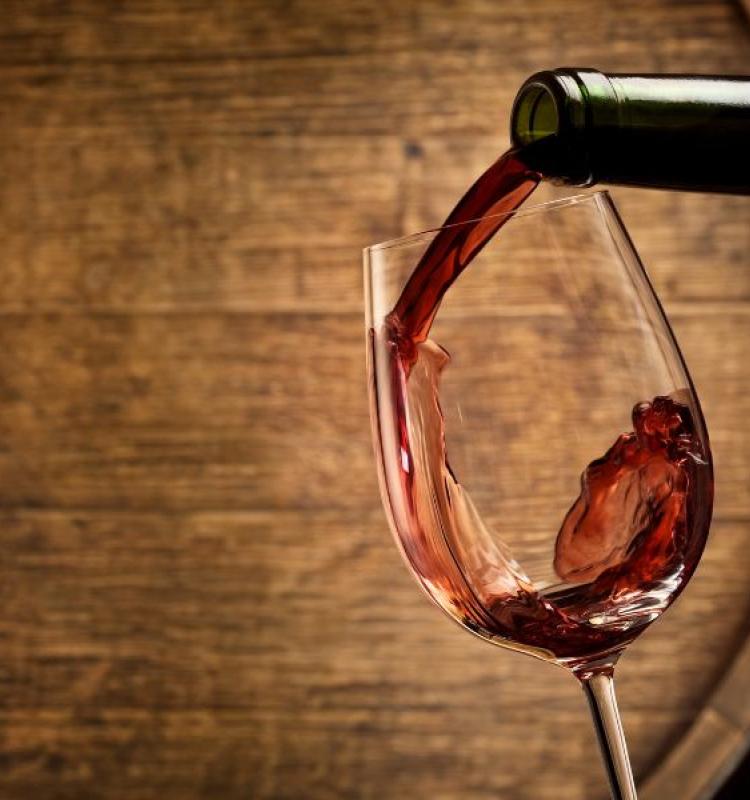 I migliori vini del territorio