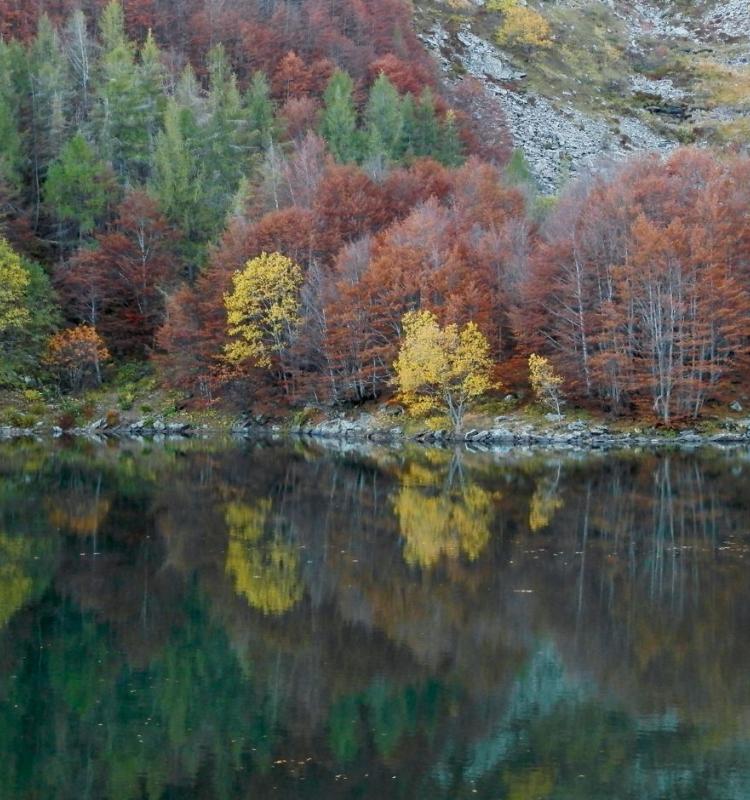 Il foliage,weekend nella terra dei laghi